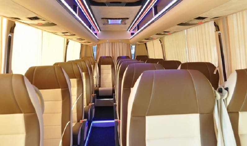 Spain: Coach reservation in Canary Islands in Canary Islands and La Laguna (San Crist&oacute;bal de la Laguna)